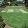 UC Verde® Buffalo Grass Plugs -Garden Care Sale 27058 buffalo grass verde