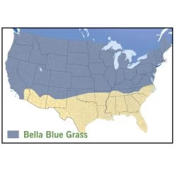 Bella™ Bluegrass Grass Plugs -Garden Care Sale bella blue grass map