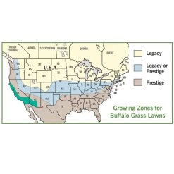 Legacy® Buffalo Grass Plugs -Garden Care Sale buffalo grass map usa