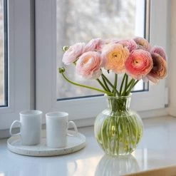Pastel Ranunculus Mix -Garden Care Sale pastel ranunculus mix pastel persian buttercup mix window still vase